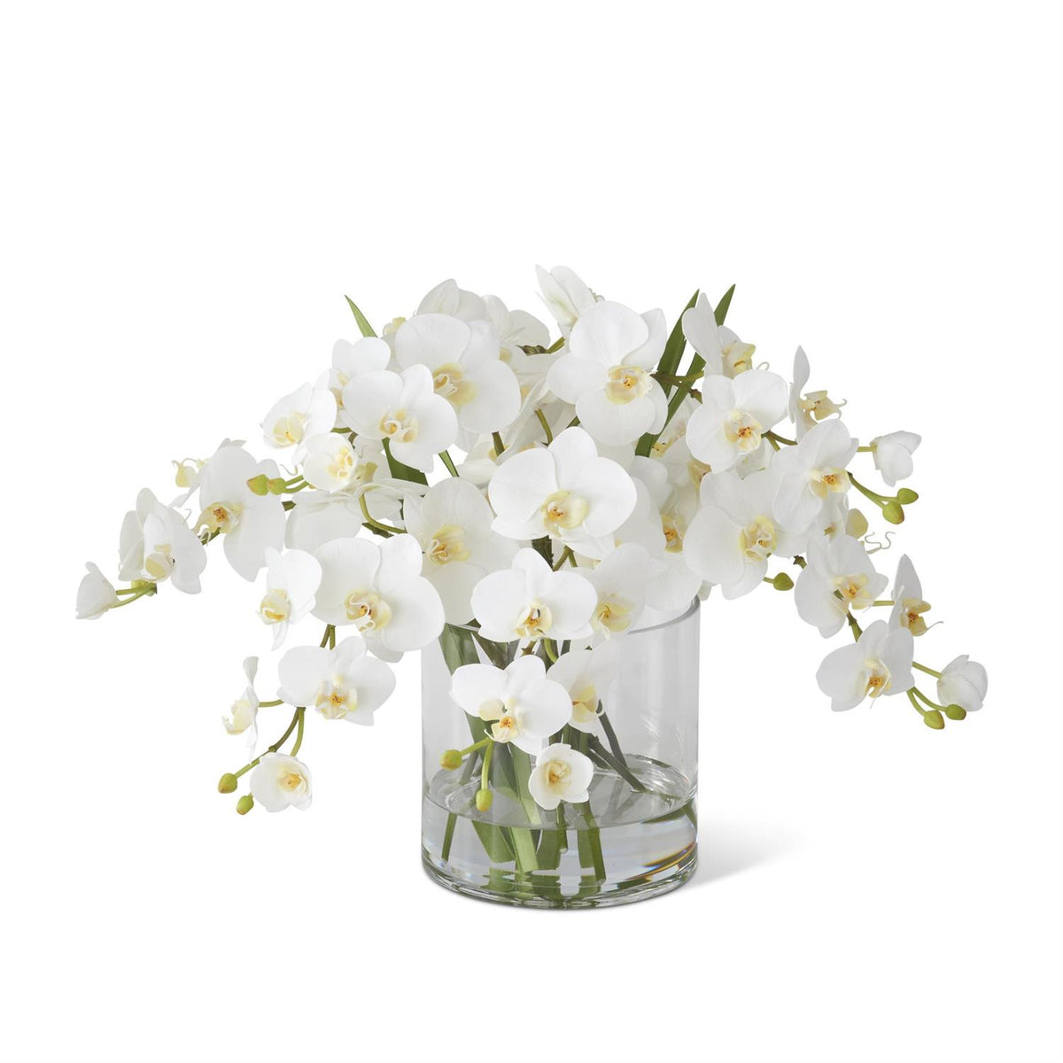 Sixteen-inch orchid arrangement in a seven-inch glass vase with faux water
