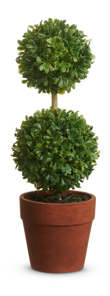 9 inch double ball mini boxwood topiary in a terracotta-colored pot.