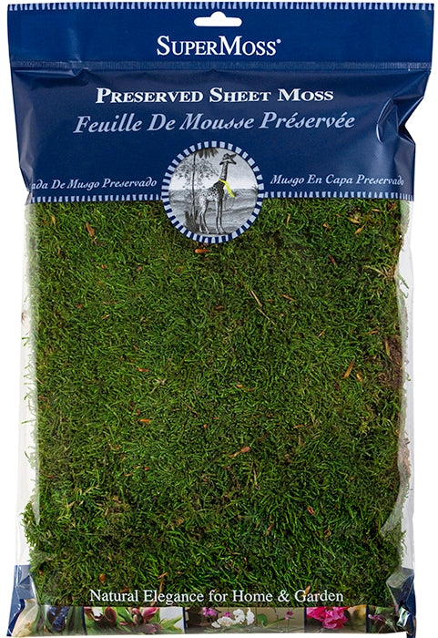 Sheet moss in a rectangular container measuring 12 x 12 inches.