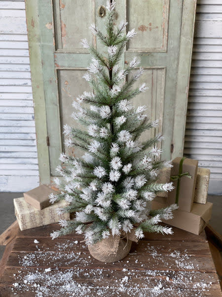 3-foot pine tree with ombre frosted needles in a burlap base, surrounded by wrapped gifts.
