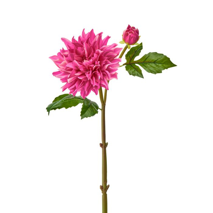 Just Cut Grand Dahlia + Bud floral arrangement in a clear vase with greenery