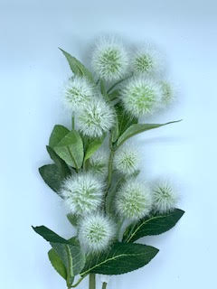 A single stem of a 25" Krameria spray with fluffy white seed heads and green leaves.
