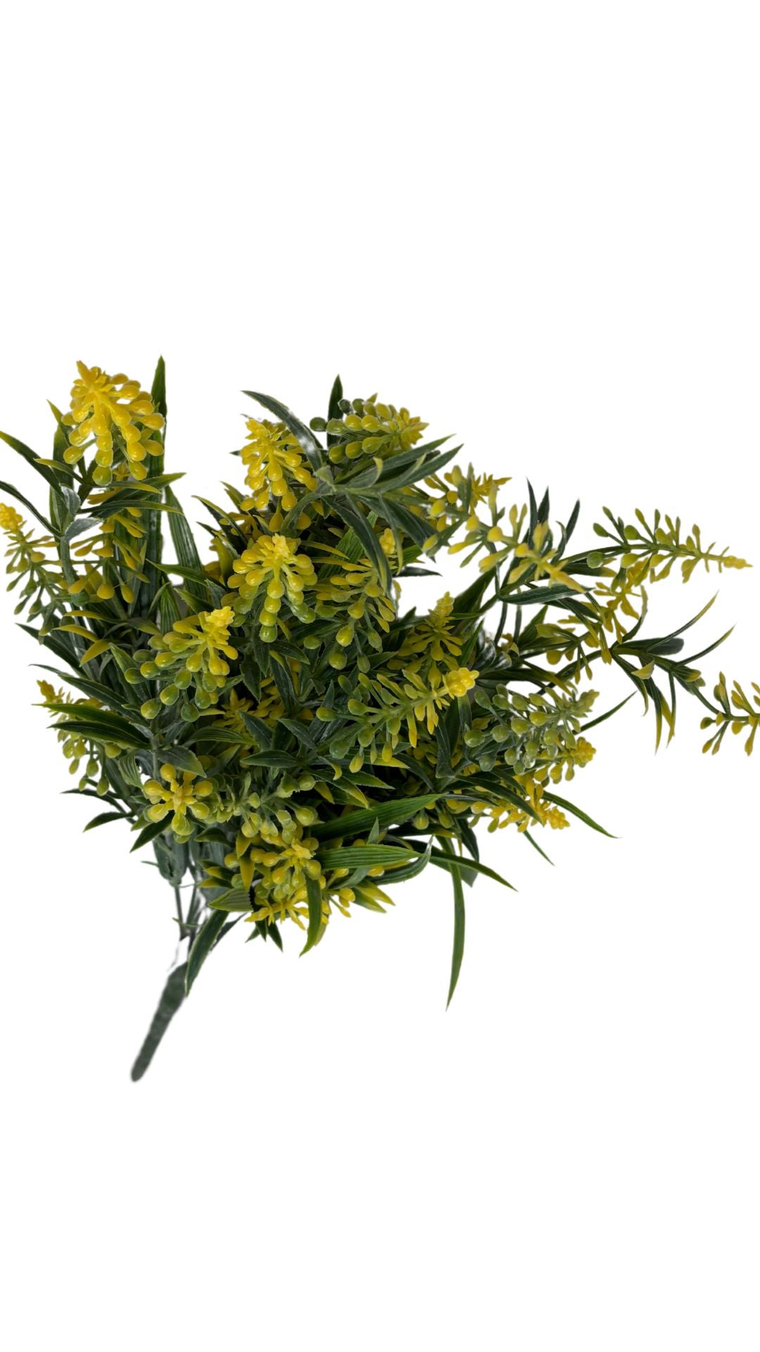 Lilac Bush X11 Yellow 1/12DZ