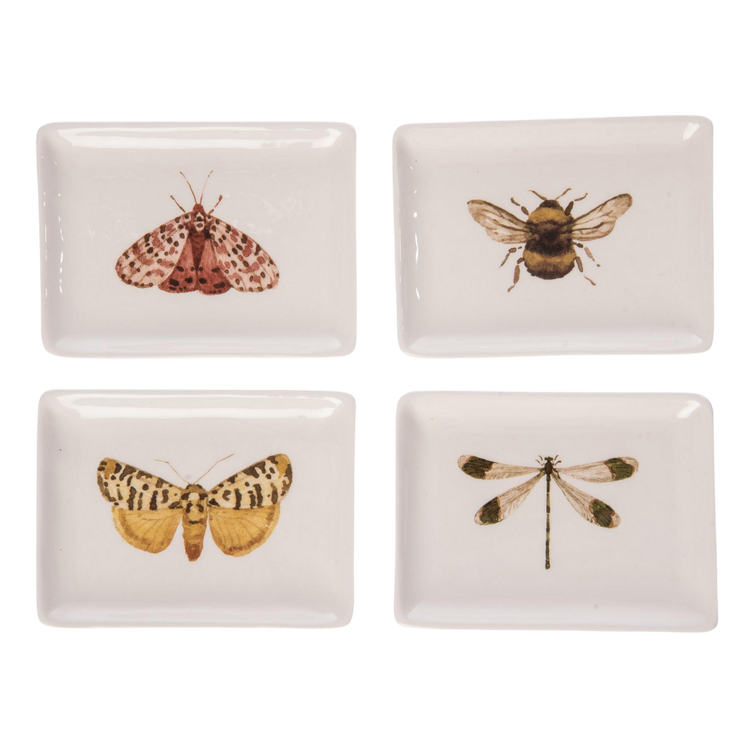 Set of four rectangular ceramic trinket dishes featuring moth, bee, and dragonfly illustrations.