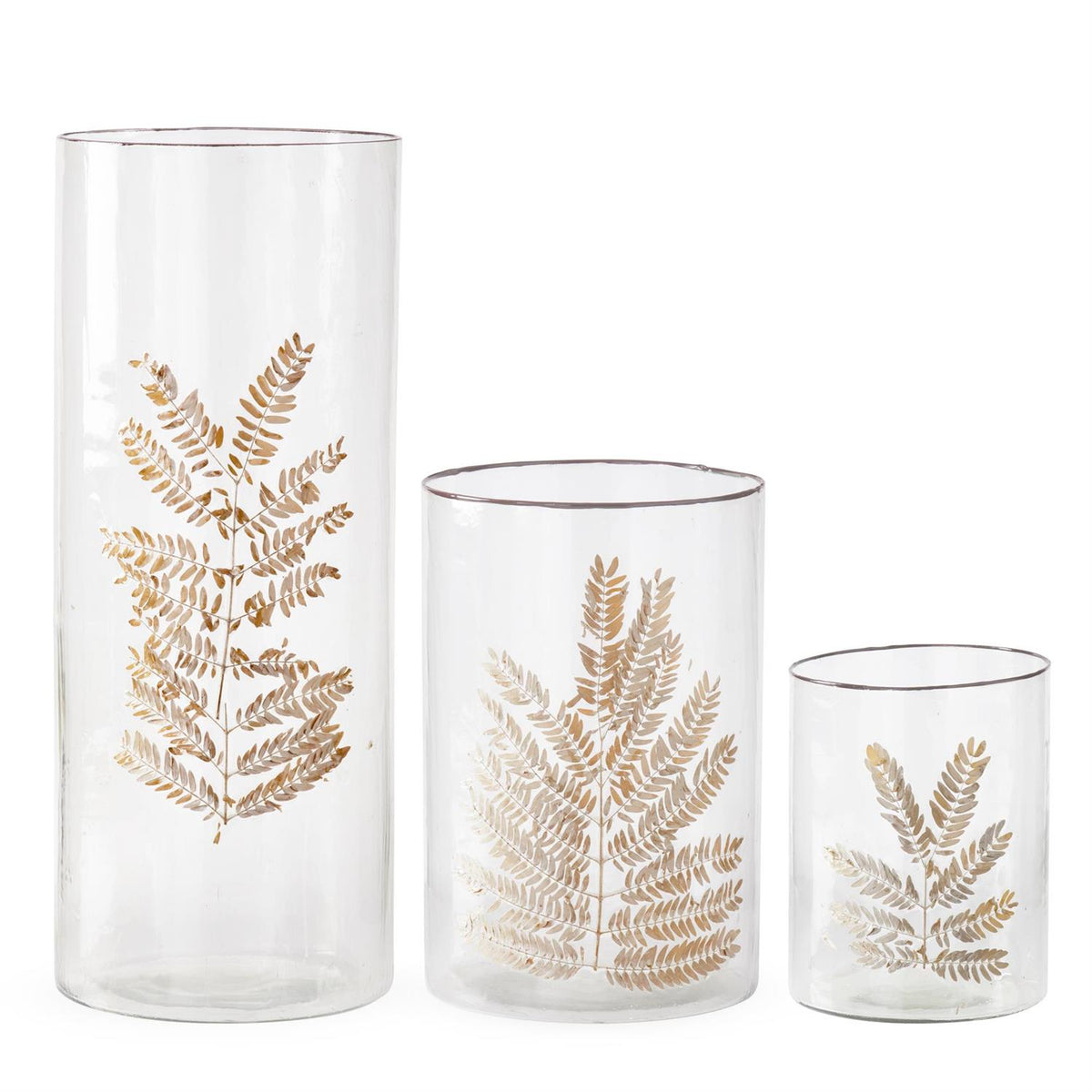 Set of three clear glass cylinder vases with gold dried leaf applique in varying heights.