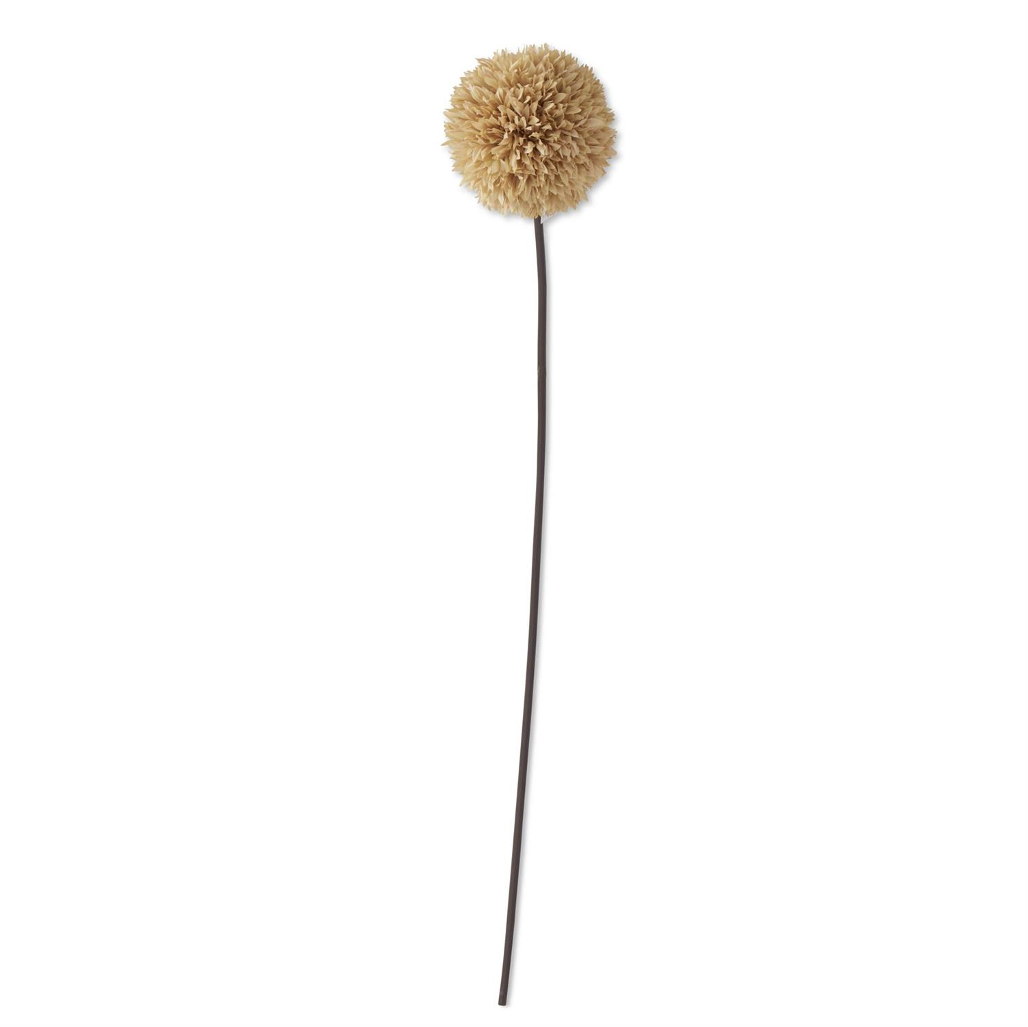 31-inch artificial allium stem with a round tan pom-pom flower head on a long dark brown stem.