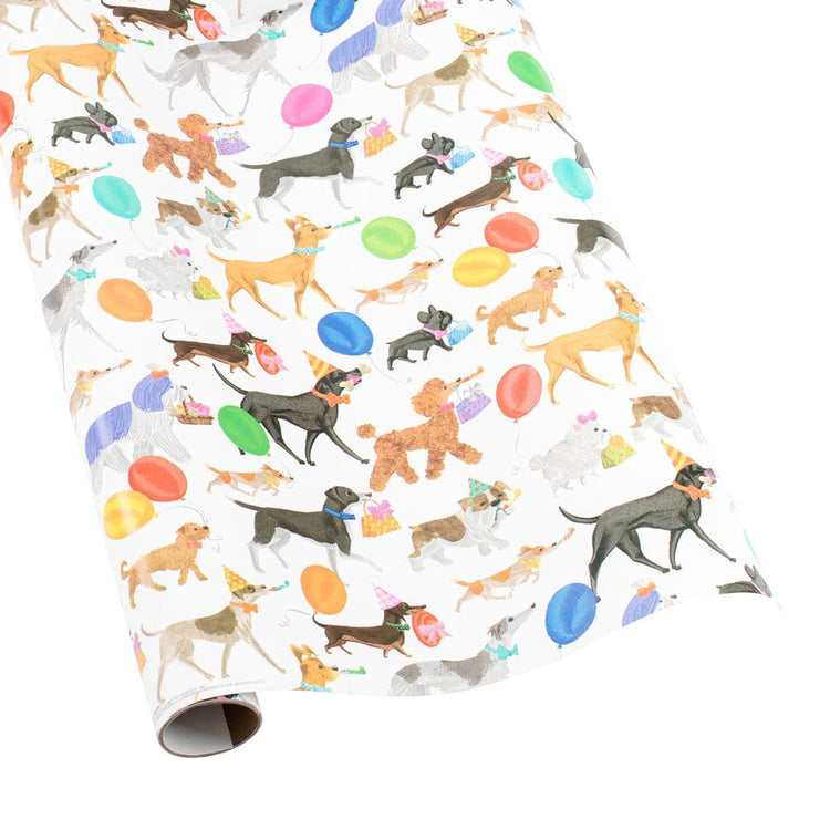 Roll of Caspari wrapping paper featuring a colorful artistic print on durable white background.