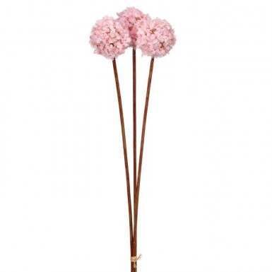 A container holding a bouquet of white Allium spray flowers with spherical blooms.