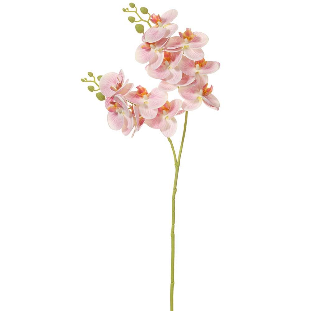 30-inch artificial Phalaenopsis orchid spray in pink cream with green foliage on a black stand