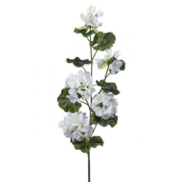 36-inch trailing geranium spray with green foliage in a natural pot.