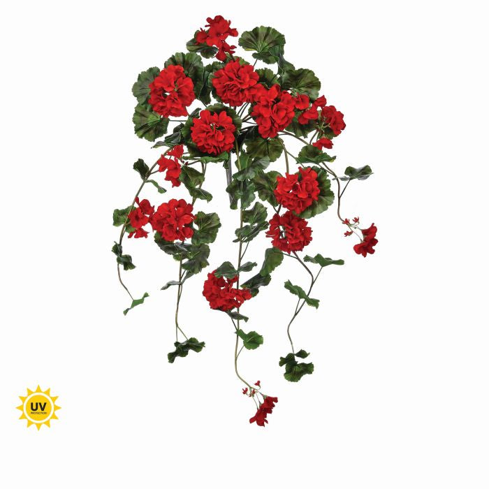 36-inch hanging geranium plant in a natural touch UV finish with green foliage and pink flowers.
