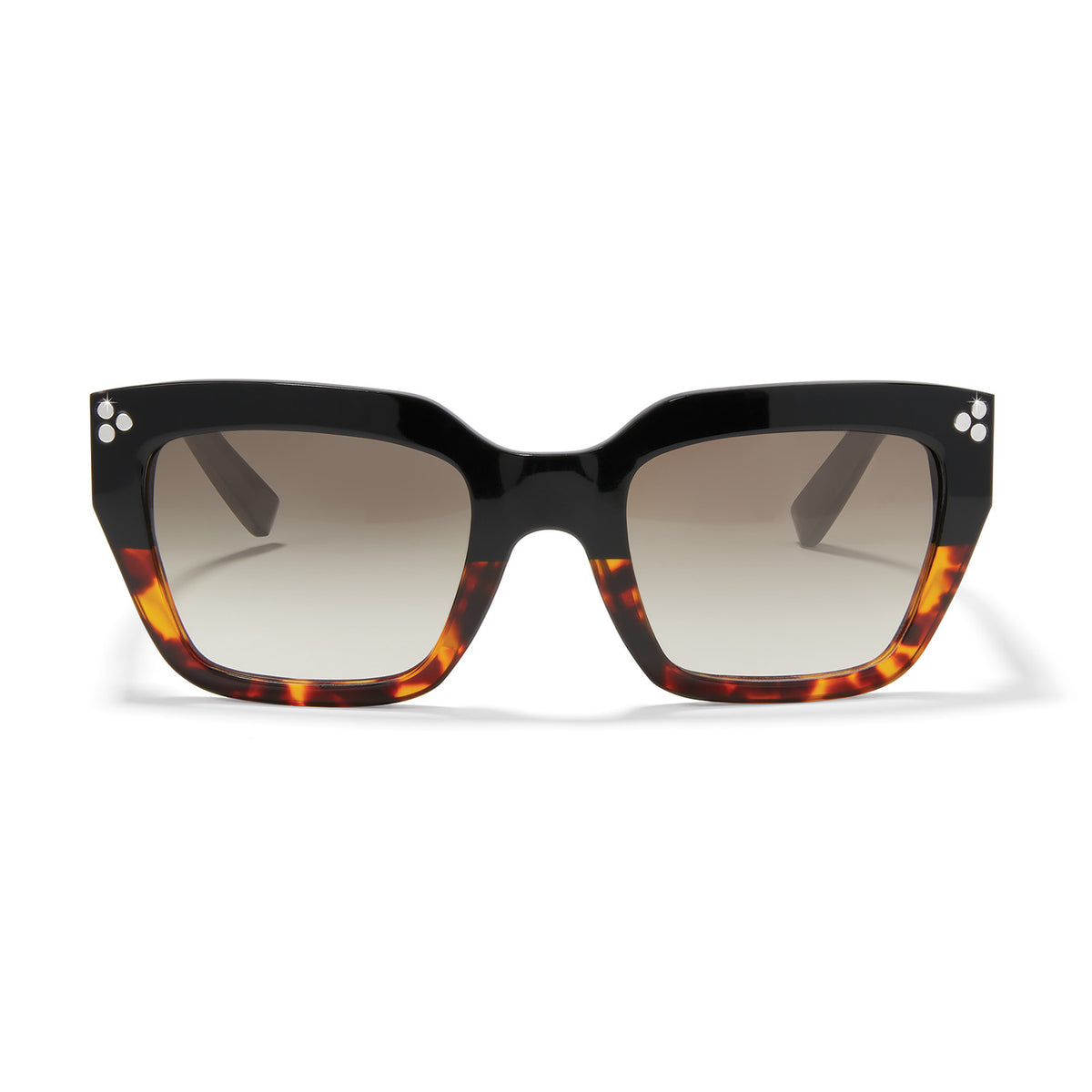 Square sunglasses with black and butterscotch tortoise frames and silver dot studs.