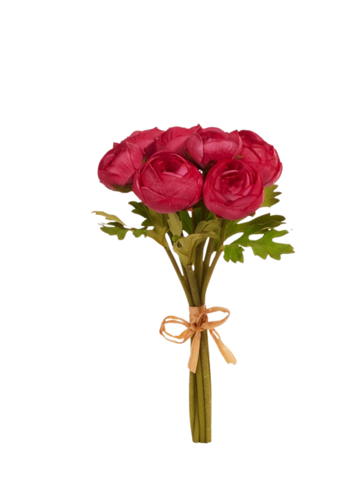 11-inch bundle of dark pink soft touch ranunculus flowers tied with a tan raffia bow.