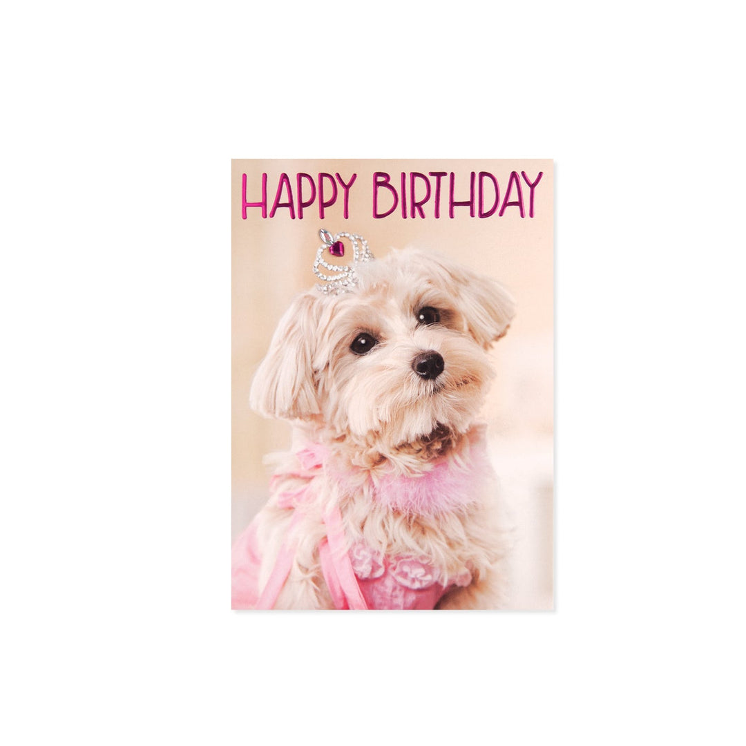 Happy Birthday card featuring a fluffy white puppy wearing a pink dress and a tiara.