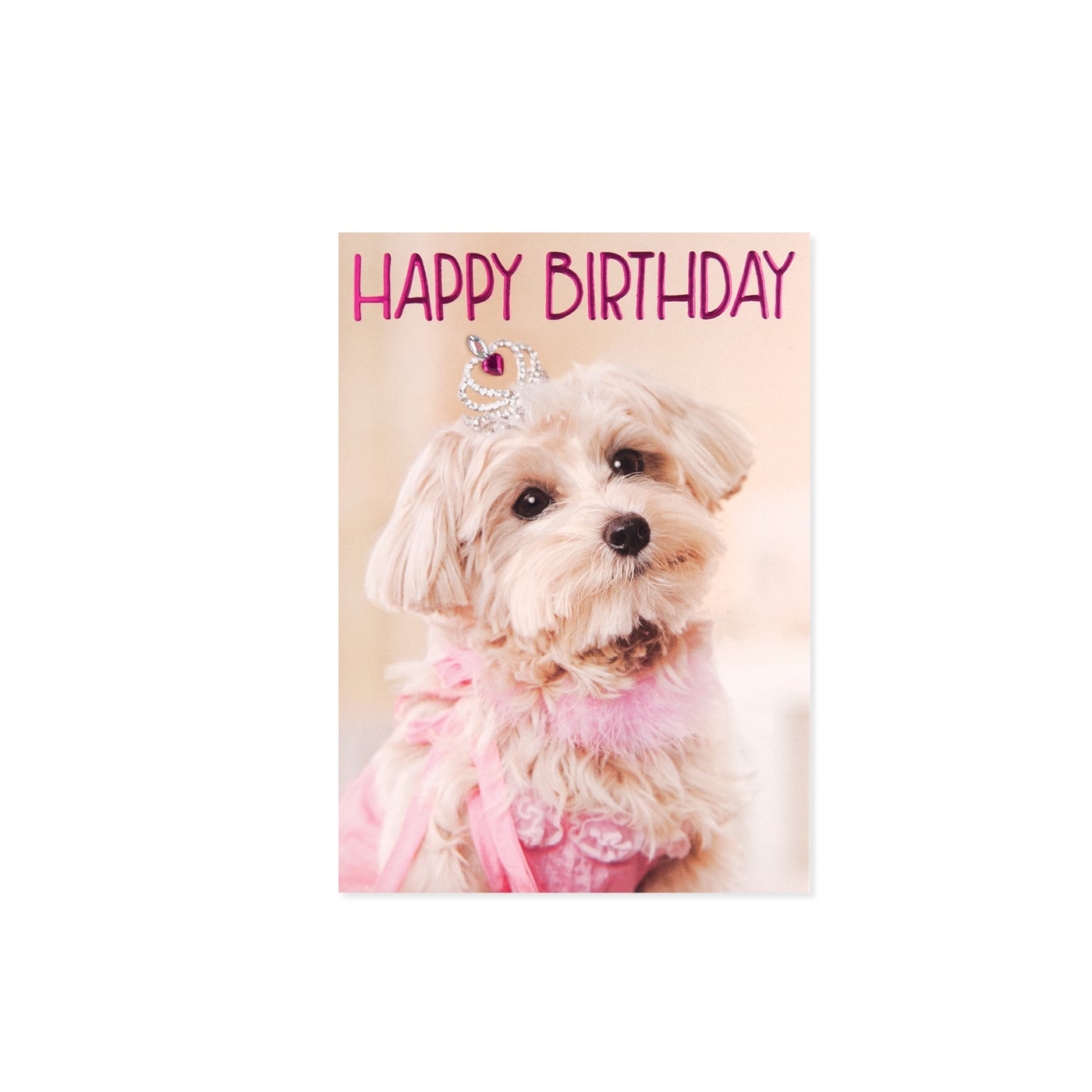 Happy Birthday card featuring a fluffy white puppy wearing a pink dress and a tiara.