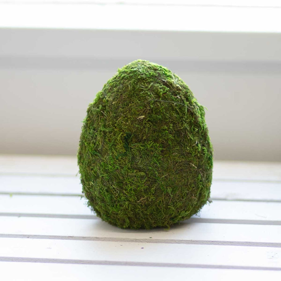 Green moss egg decor with organic texture