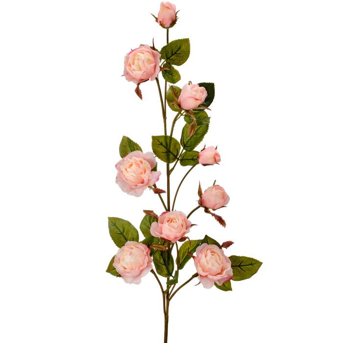 Just Cut garden rose branch with green leaves on a 37-inch stem.