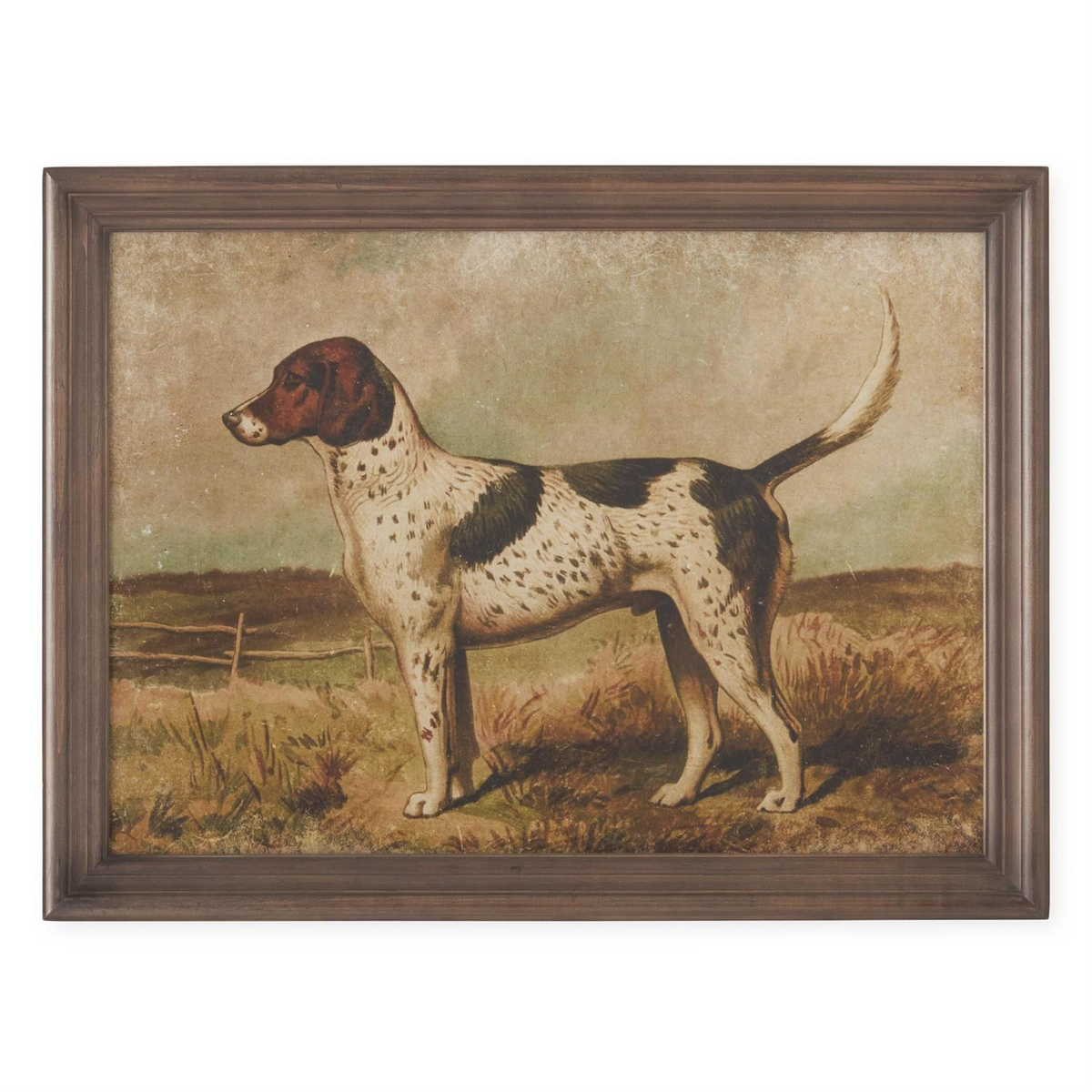 Framed 23.5-inch print of a brown and white spotted hunting dog in a field.