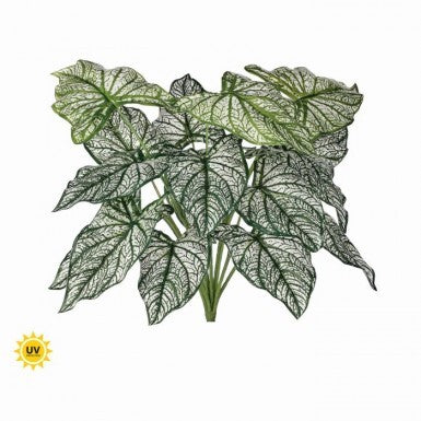 18” PU UV Treated Calladium Bush