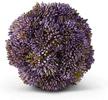 4-inch round succulent ball with green fleshy leaves in a simple container