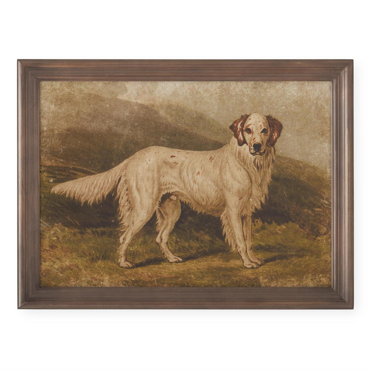 Framed 23.5-inch print of a white and brown setter dog standing in a landscape.