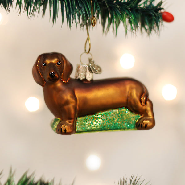 Brown glass dachshund dog Christmas ornament hanging from a tree branch.