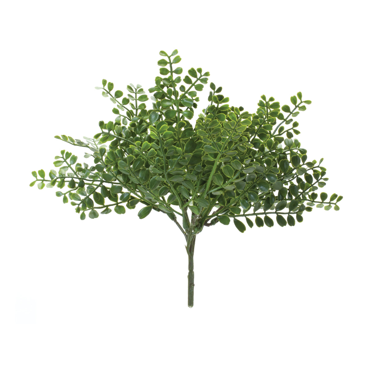 Plastic fern bush plant with green fronds in a square pot
