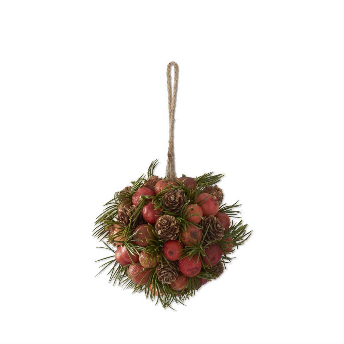 Round ornament with orange pods, pinecones, and pine sprigs hanging from a jute string.