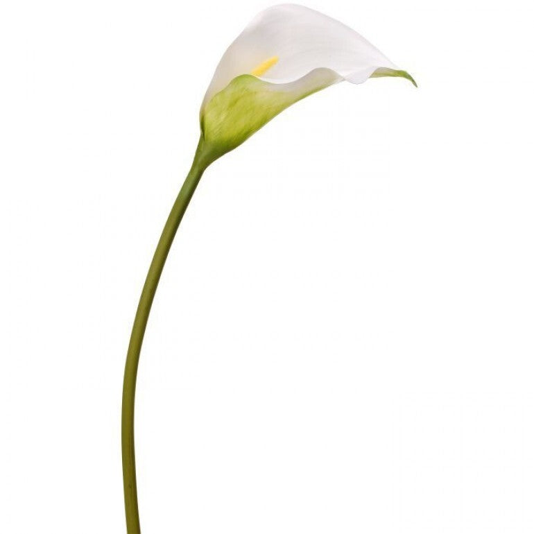White PU calla lily stem with realistic texture and graceful curved silhouette
