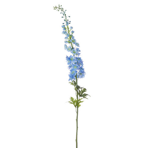 Single blue delphinium flower stem with spiky petals against a white background.