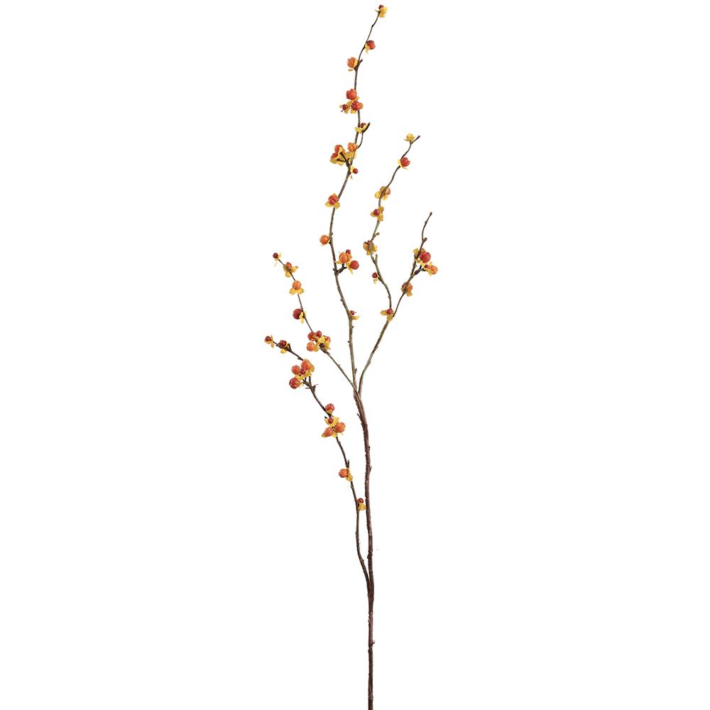 37-inch bittersweet spray with orange and red berries on a brown branch.