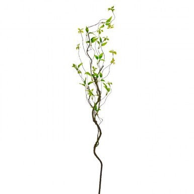 48-inch wild smilax vine with long trailing stems and vibrant green leaves