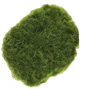 Single 5-inch green artificial moss ball made of polyethylene with a textured, fibrous surface.