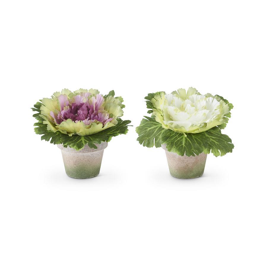 6-inch artificial cabbage in a green pot made of polyester and paper.
