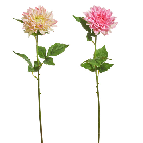 Pink polyester dahlia flower stem with plastic construction measuring 6 inches wide by 6 inches deep and 23 inches tall.