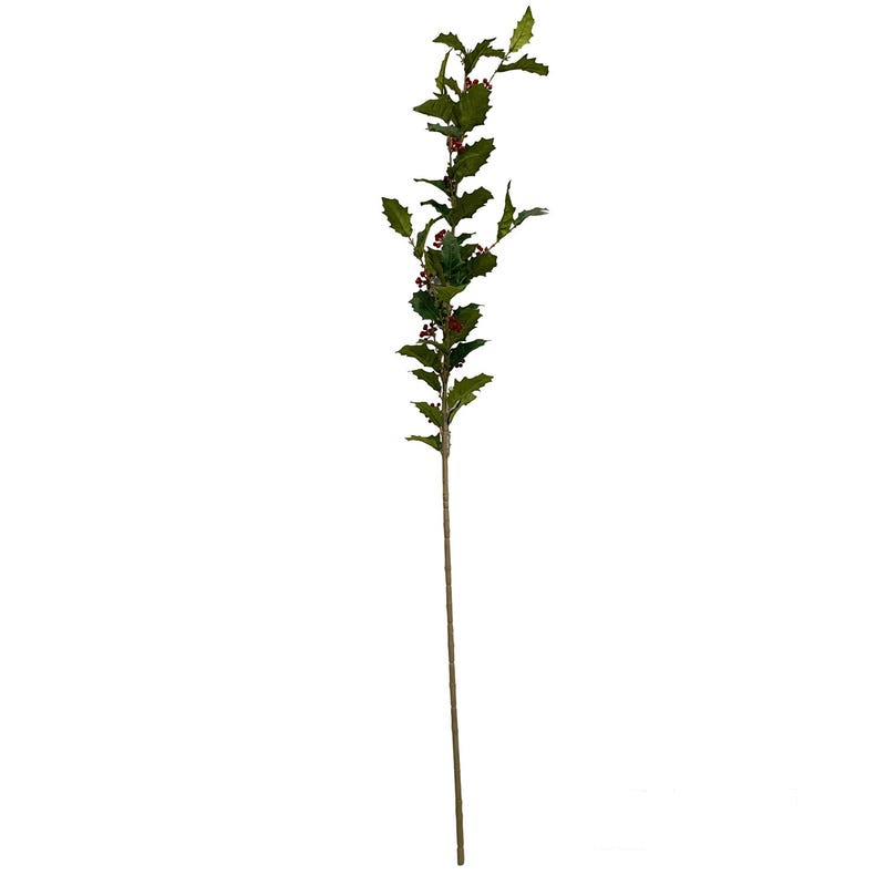 Estate Holly Branch with green leaves and red berries on a long brown stem.