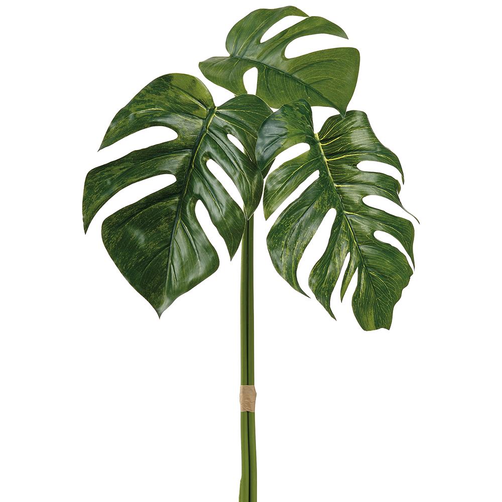 34-inch Monstera bundle with two-tone green leaves on a wire frame plant stand.