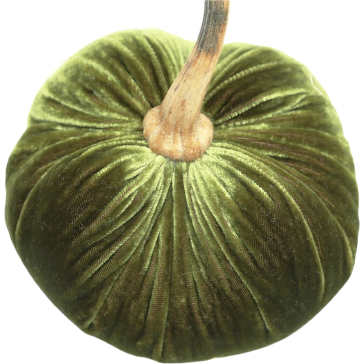 3-inch olive green velvet pumpkin with a natural brown stem.
