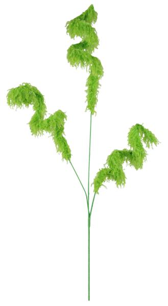 31-inch lime green furry curl spray with three fuzzy spiral branches on a thin green stem.