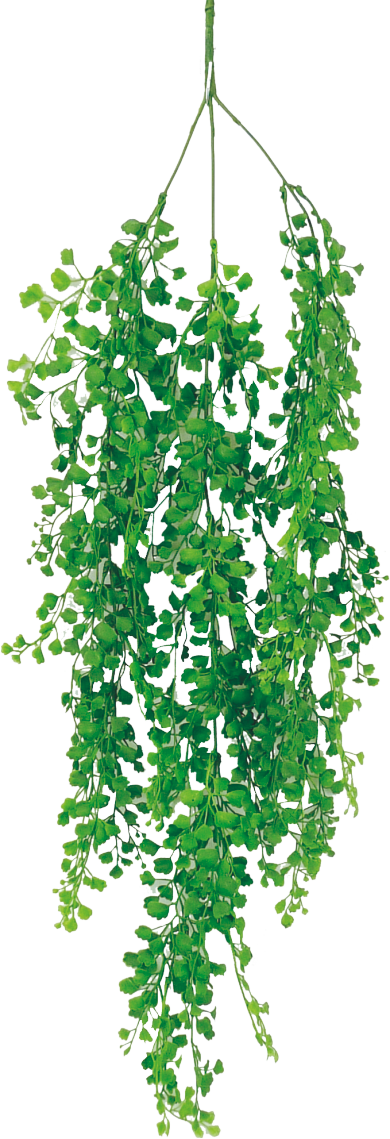 Three dark green plastic fern picks with wired stems hanging from a hook.