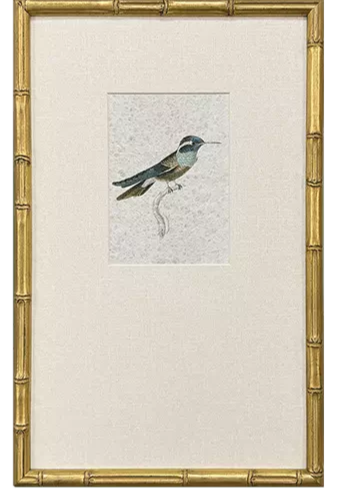 Antique hummingbird print in a gold bamboo-style frame with a wide cream mat.