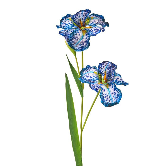 Spotted Iris X2 + Bud arrangement with two fully bloomed spotted irises and one developing bud in a natural garden style.