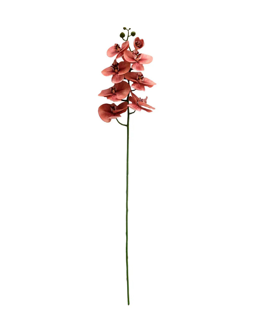 Butterfly Orchid Coral candle with a coral-colored wax body featuring an embedded butterfly orchid design.