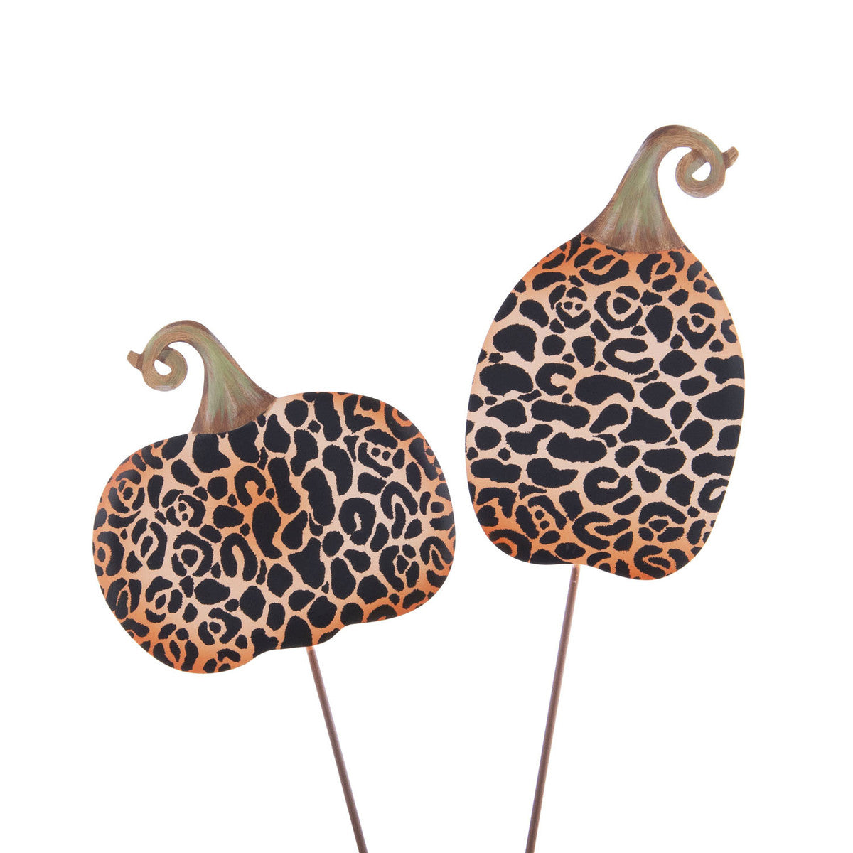 Mini Leopard Pumpkin with black leopard spots on a pumpkin orange background