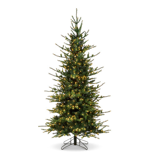 12' Rocky Mountain Spruce artificial Christmas tree with warm white LED lights on a metal stand.