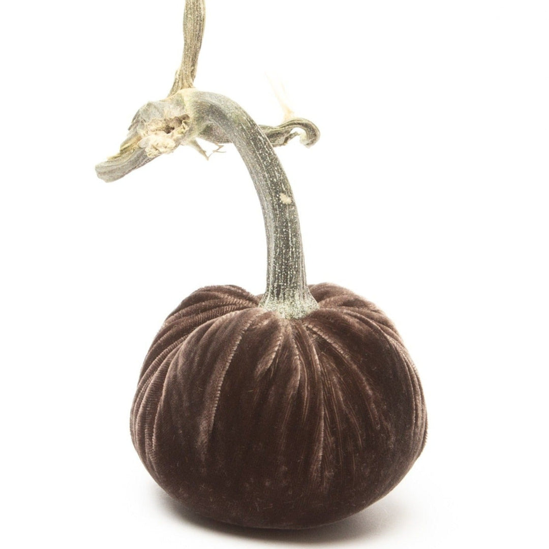 Small brown silk velvet pumpkin with a long, natural dried stem on a white background.