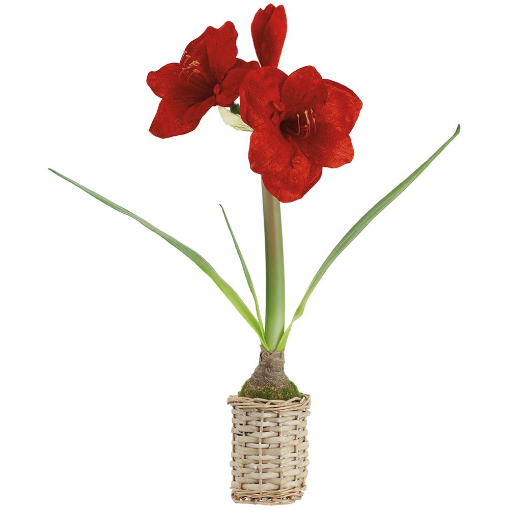 20.5-inch red velvet amaryllis artificial plant with green leaves in a woven twig basket.