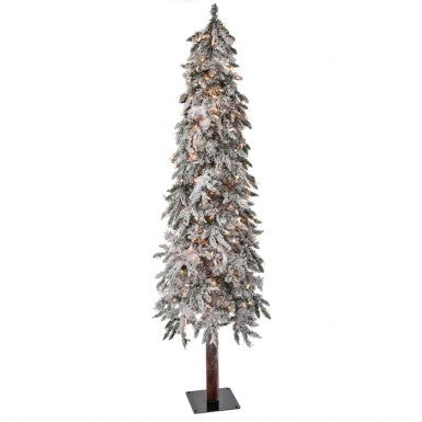 6’ Twinkle Flk Elk Pass Alpine