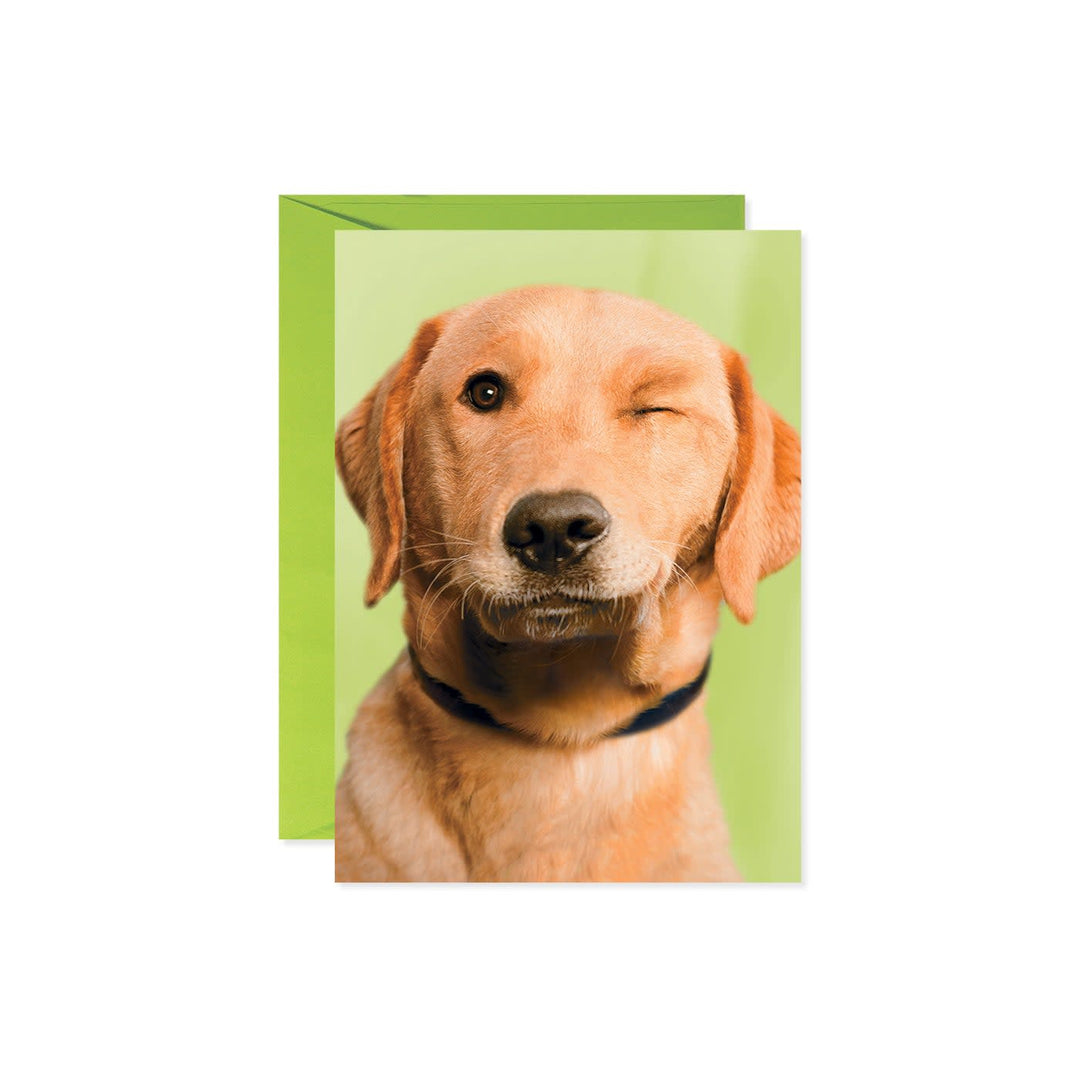 White greeting card featuring a black line drawing of a dog winking with its tongue out.